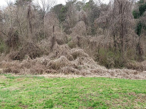 4th image of 717 Shane Dr Lot 8