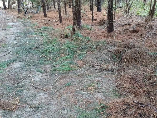 1 Ridge Rd, Colonial Beach, VA 22443