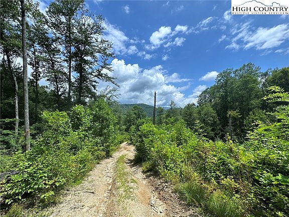 2nd image of TBD NC Highway 194 S