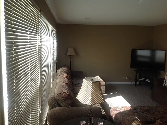315 E Kenilworth Ave #1R — Photo 15
