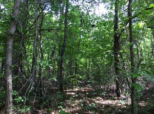 East Of 299 Morgan Rd, fayetteville, GA 30215