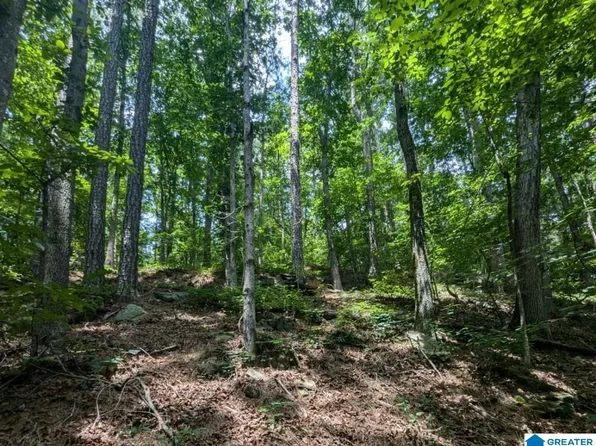 0 Blocker Rd, Eva, AL 35621