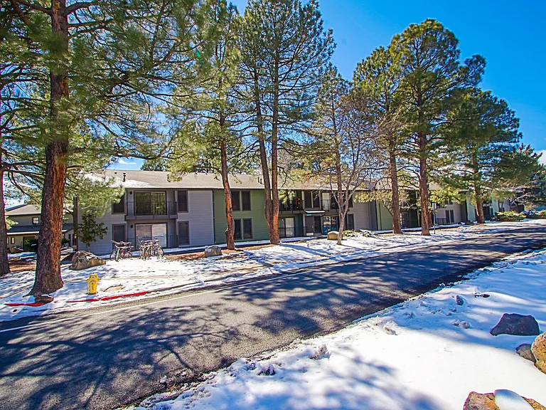 Legacy Pines — Photo 26
