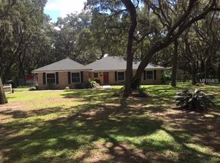 11512 Raulerson Rd, Riverview, FL 33569
