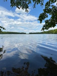 LOT 10 64th St, Luck, WI, 54853