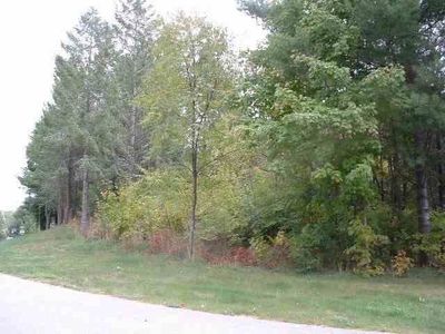 3879 Douglas Ct LOT 31, Harbor Springs, MI, 49740