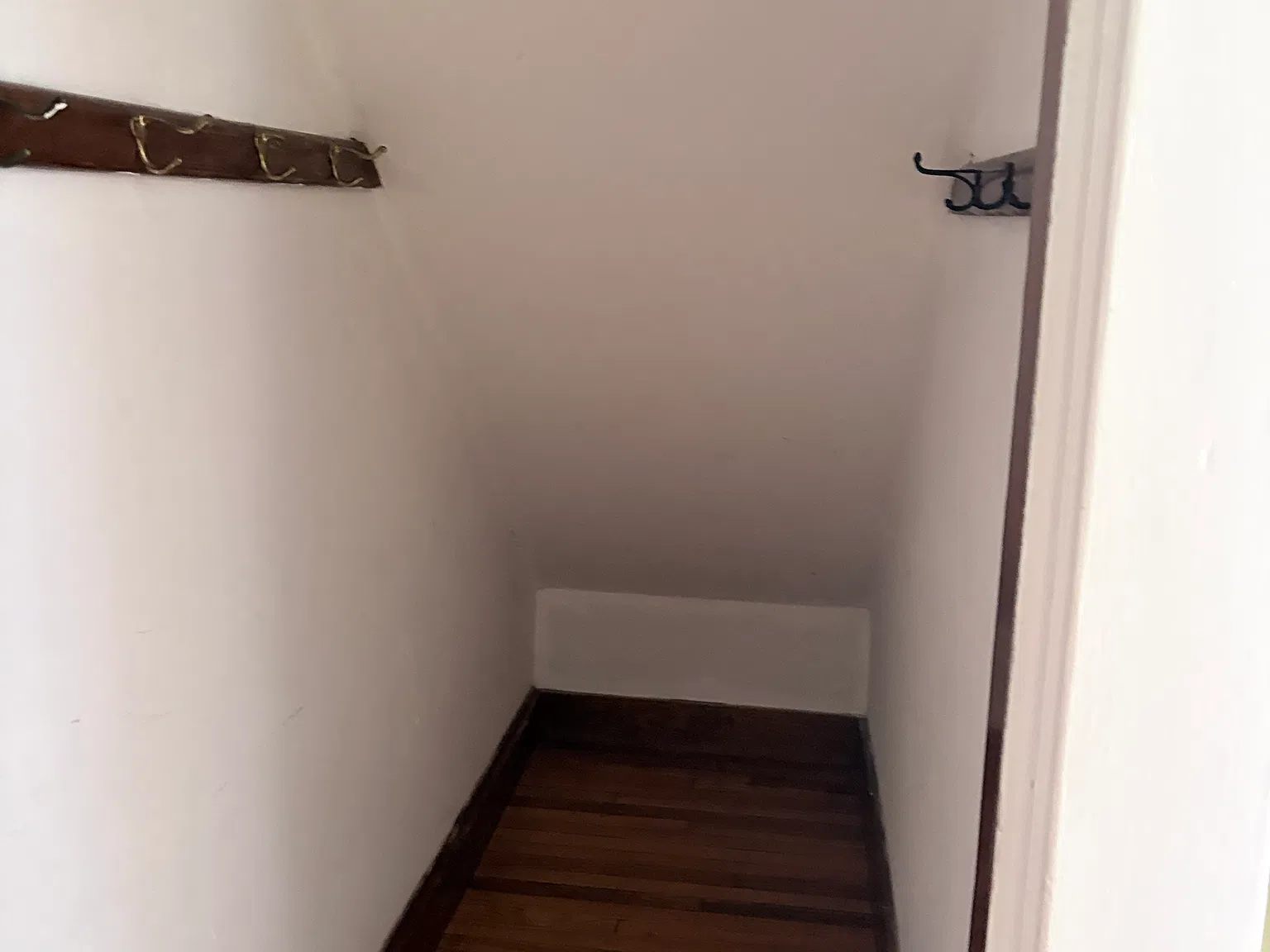 1 bed, 1000 sqft, $2,300 — Photo 3