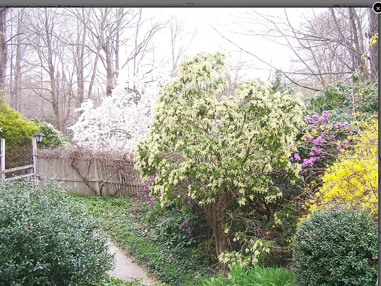 1074 Storrs Rd — Photo 12