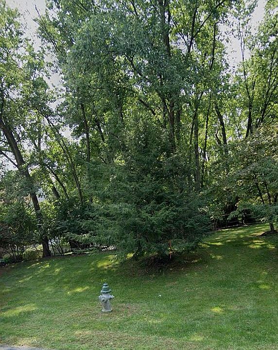 2nd image of 10302 Cutters Ln
