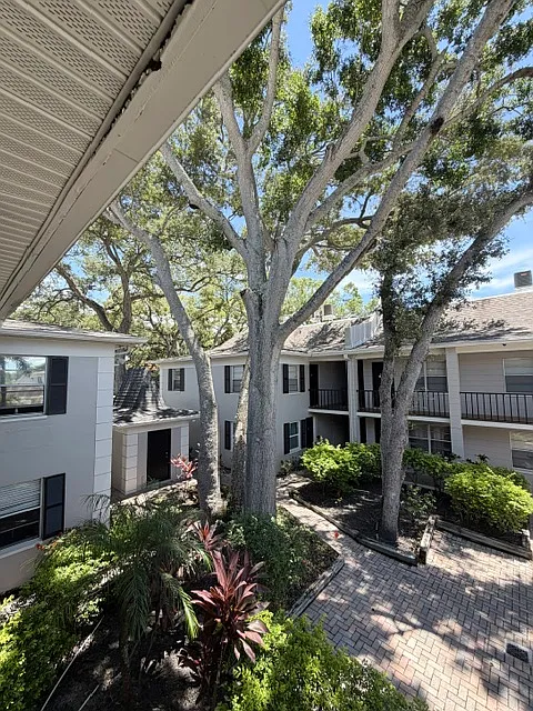 2 bed, 700 sqft, $1,650 — Photo 2