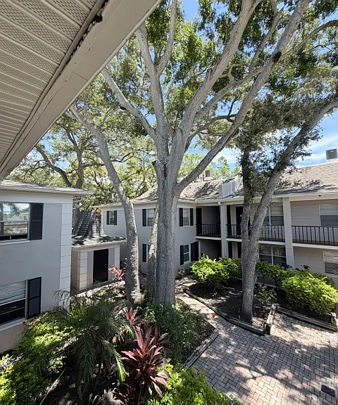 5221 S Bayshore Blvd #54 — Photo 2