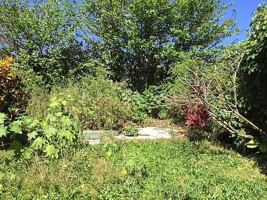 2nd image of 5-7186 Kuhio Hwy #64