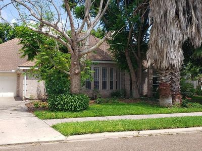 1407 Mango Ct, Weslaco, TX, 78596