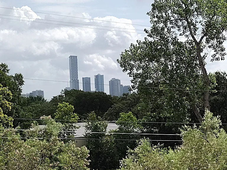 Downtown View