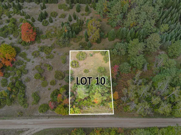 Trout Creek Rd, Cheboygan, MI 49721