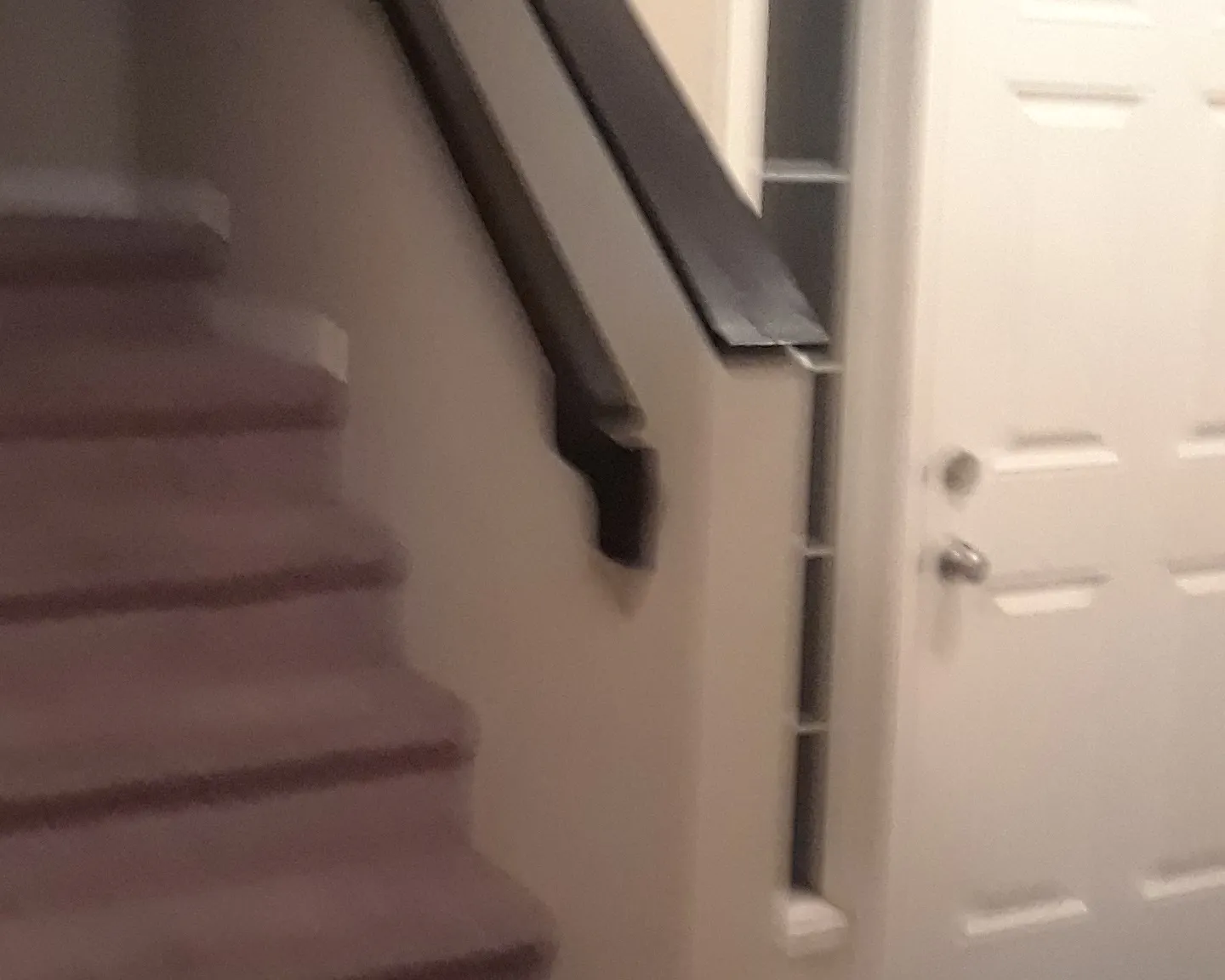 3 bed, 2.5 bath, 1816 sqft, $3,000 — Photo 2
