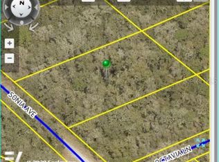 Sonia Ave, Webster, FL 33597