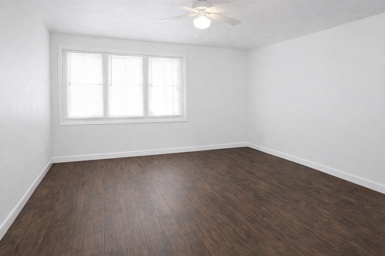 1 bed, $990 — Photo 3