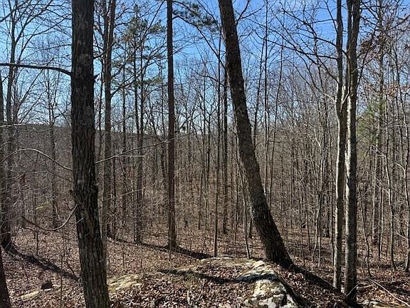 3rd image of TRACT Three South Pittsburg