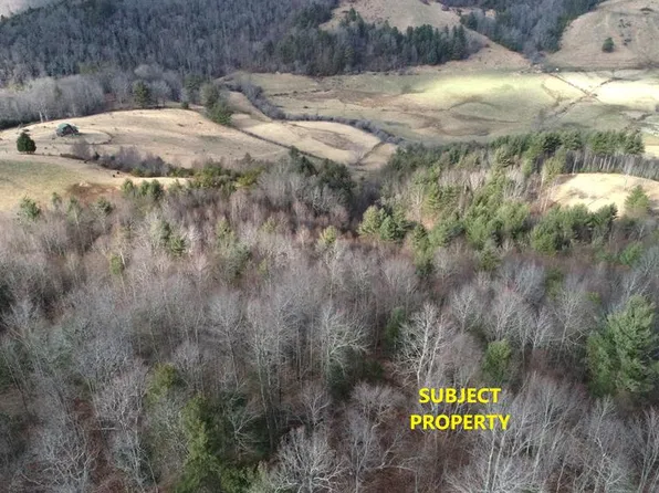 High Mountain Trl, Laurel Fork, VA 24352