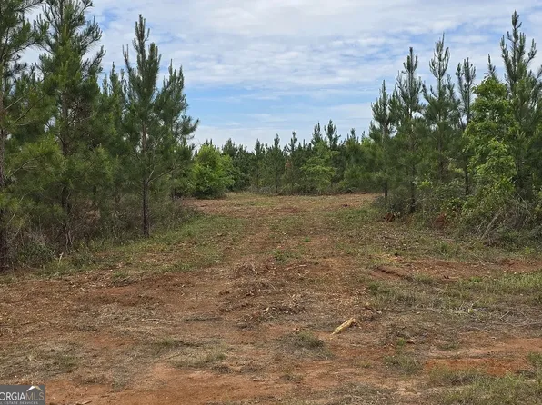 27 Marvin Murphy Rd, Ellaville, GA 31806