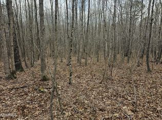 255 E Hilltop Ln, Wilder, TN 38589