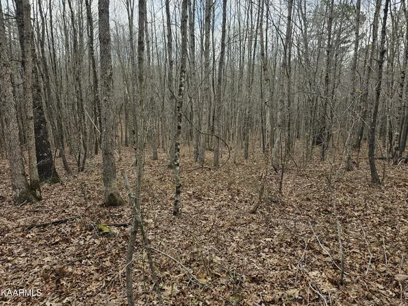 255 E Hilltop Ln, Wilder, TN 38589