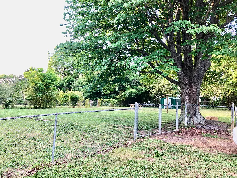 Large Double Lot With Plenty of Room to Entertain and Play