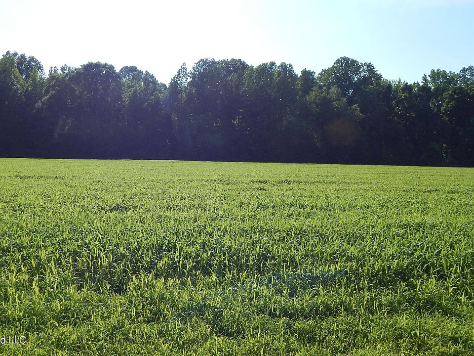 1st image of 500 County Road 247