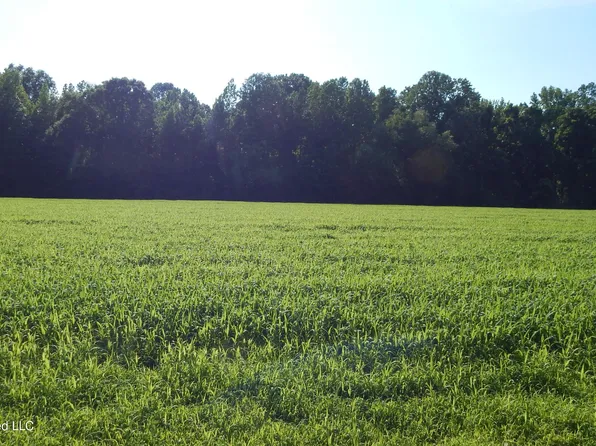 500 County Road 247, Bruce, MS 38915
