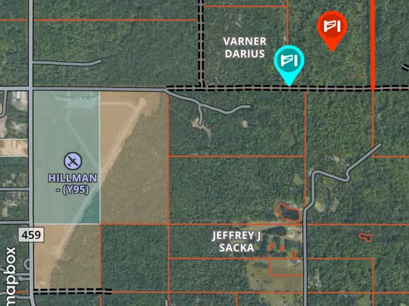 1000 N Hillman Airport, Hillman, MI 49746