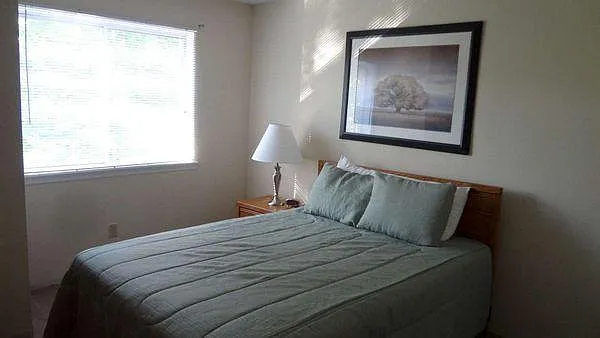 Lakeview — Photo 8