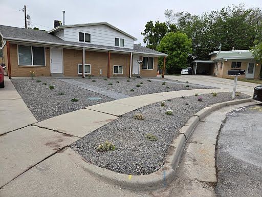 Front yard