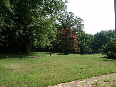 Almost Full Acre Lot