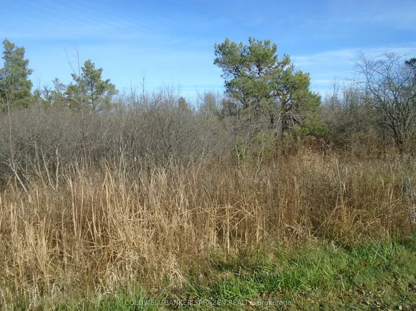 49 Rideau Ave N, Montague, ON K7A 2T7