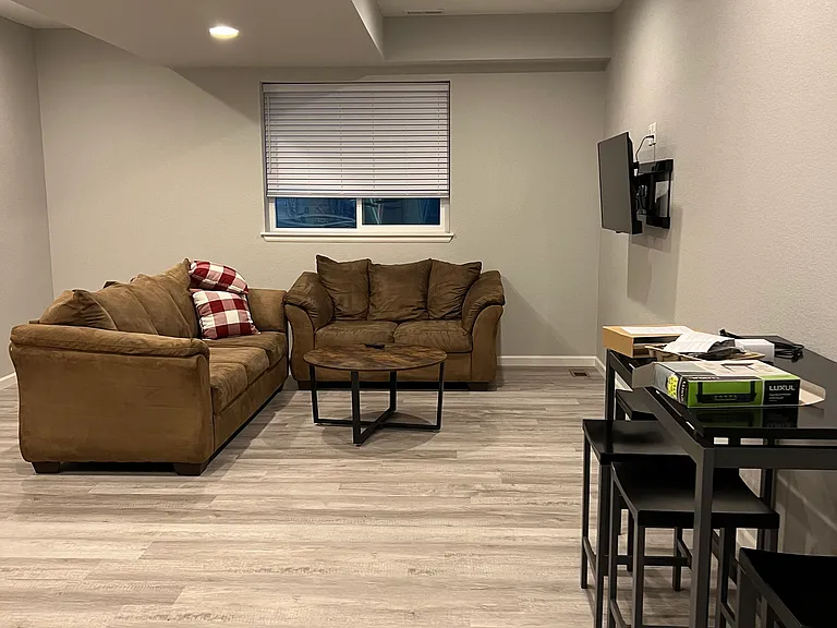 Basement living area