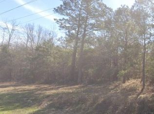 0 Moses Dingle Rd, Manning, SC 29102