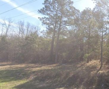 0 Moses Dingle Rd, Manning, SC, 29102