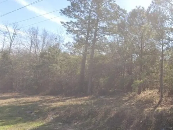 0 Moses Dingle Rd, Manning, SC 29102