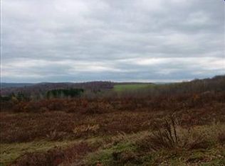 3082 County Highway 16, Burlington Flats, NY 13315