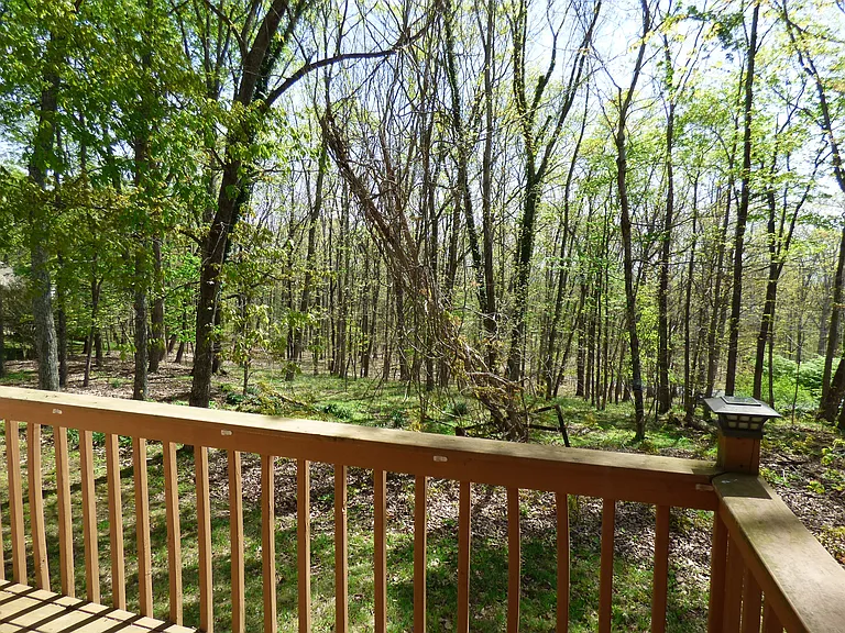 234 Amherst Ln — Photo 11