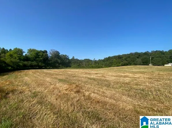 900 Mount Moriah Rd Tract 2-3.22, Pell City, AL 35125