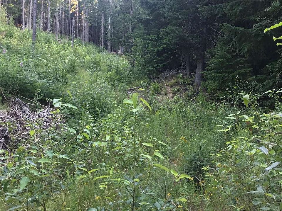 1st image of LT Eight Snowblaze Rec Tract