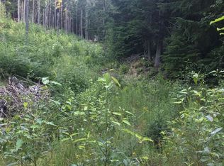 LT Eight Snowblaze Rec Tract, Mead, WA 99021