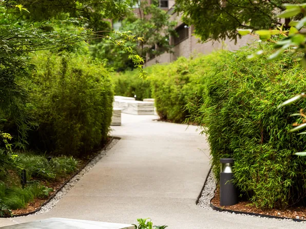 115 York Street image 13 of 45