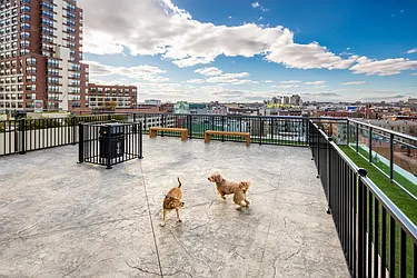 Rented by Bozzuto Management