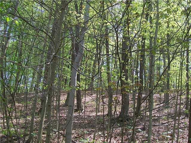2nd image of 5740 Hansley Rd