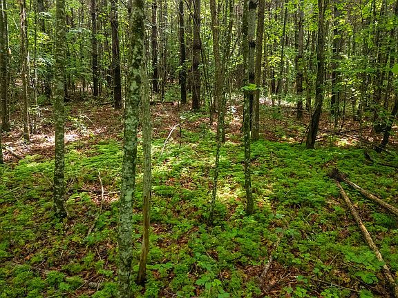 4th image of 0 Old Cullowhee Rd