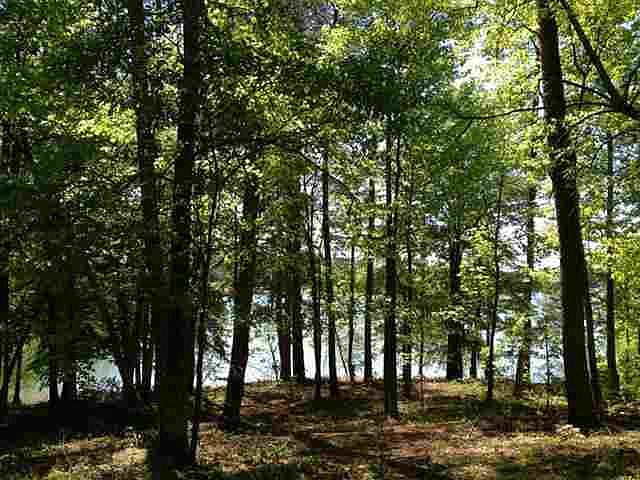 1st image of LOT 8 Rocky Springs Dr