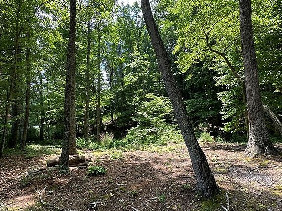 5th image of 0 Moncove Lake Access Rd